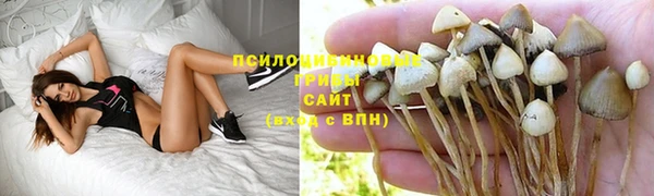 MESCALINE Снежногорск