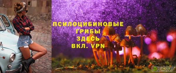 трава Снежинск