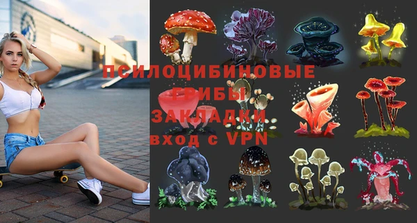 трава Снежинск