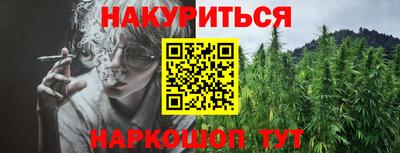 индика Гай
