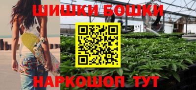 индика Гай