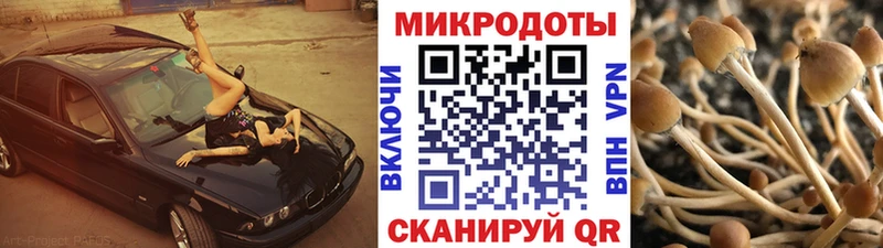 Псилоцибиновые грибы мухоморы  kraken   Благовещенск 