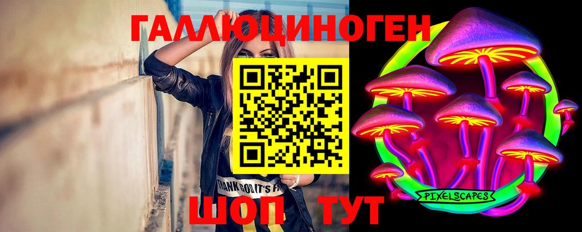 Псилоцибиновые грибы Cubensis Благовещенск